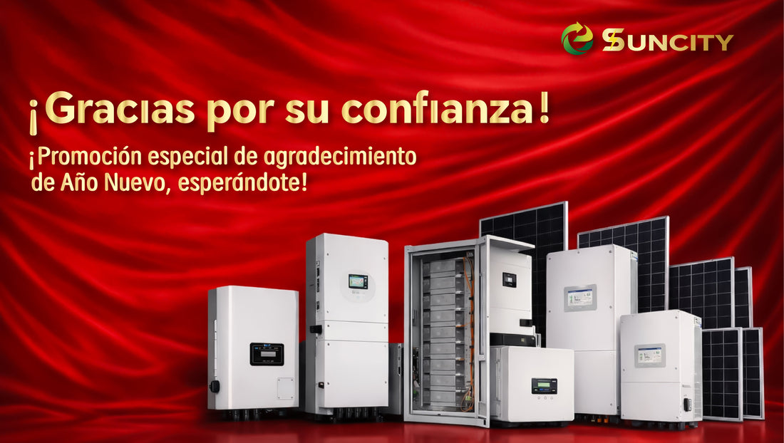 ¡Gracias por su confianza！¡Promoción especial de agradecimiento de Año Nuevo, esperándote!